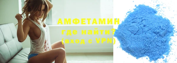 индика Инсар