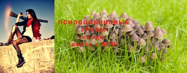 марки nbome Аша