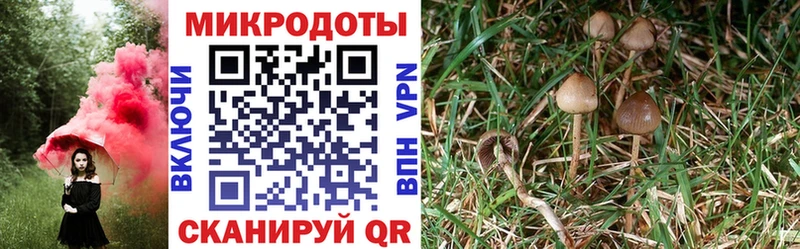 Псилоцибиновые грибы MAGIC MUSHROOMS купить наркотик Кохма